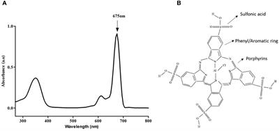 Aluminium phthalocyanine-mediated photodynamic therapy induces ATM-related DNA damage response and apoptosis in human oesophageal cancer cells